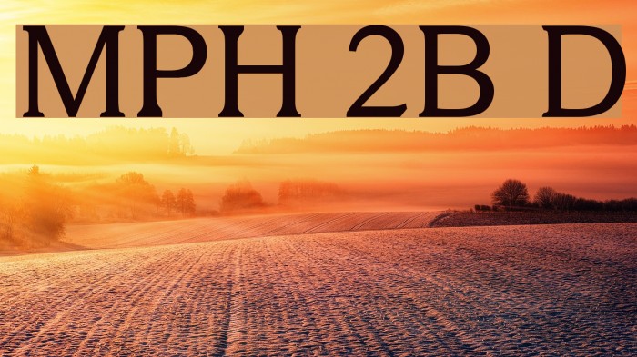 MPH 2B Damase Font examples