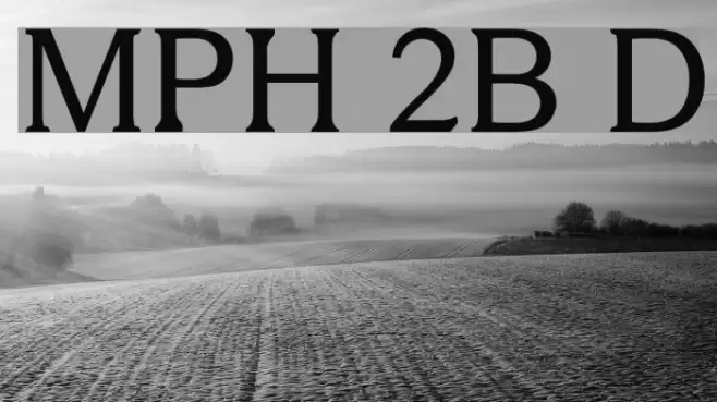 MPH 2B Damase Шрифта examples