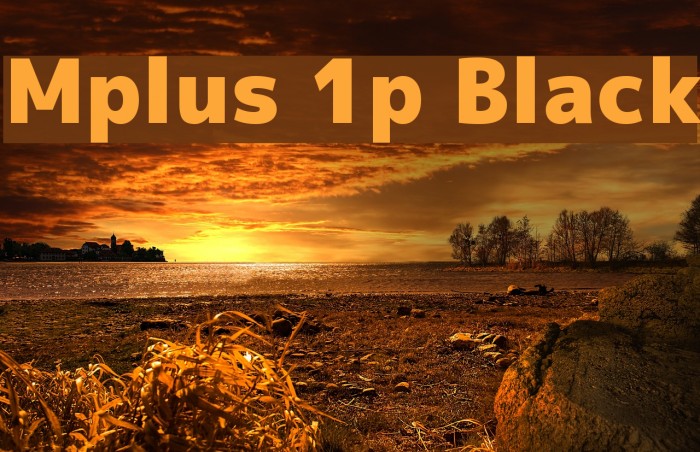 Mplus 1p Black Font examples