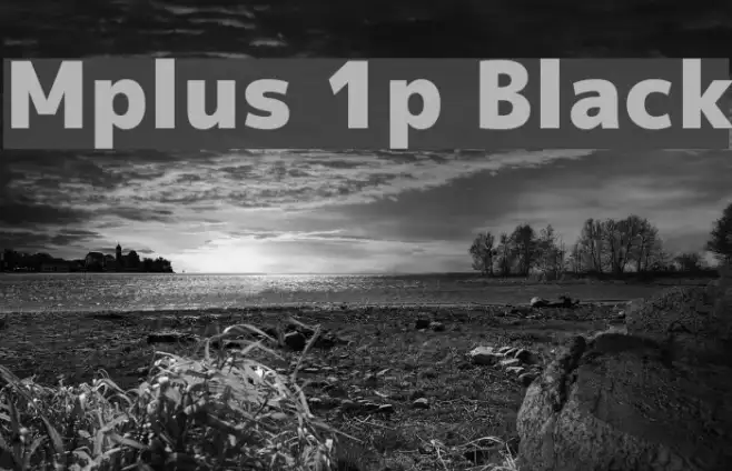 Mplus 1p Black Example 1