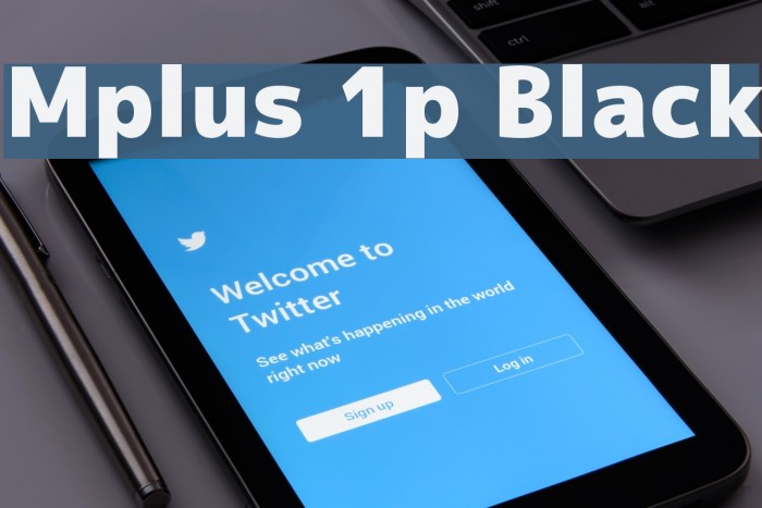 Mplus 1p Black Font examples