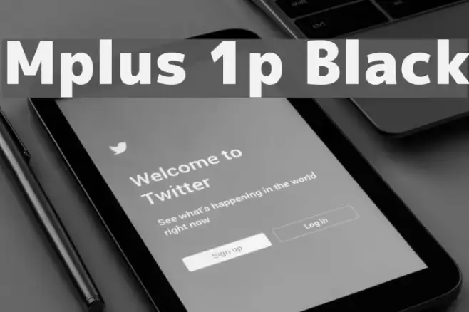Mplus 1p Black Example 2