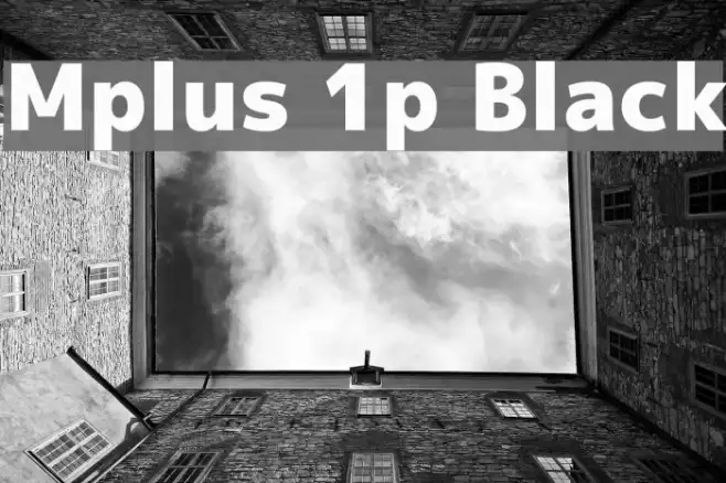 Mplus 1p Black Example 3