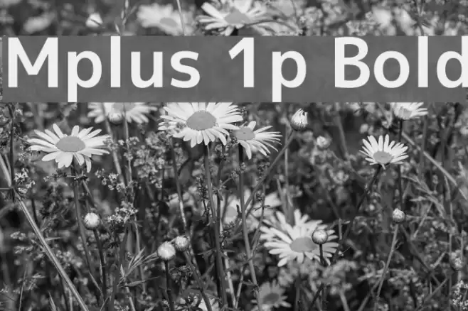 Mplus 1p Bold examples