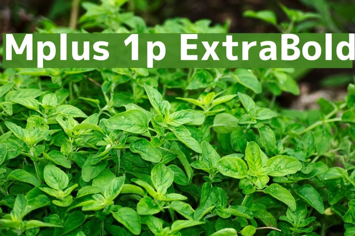 Mplus 1p ExtraBold Font examples