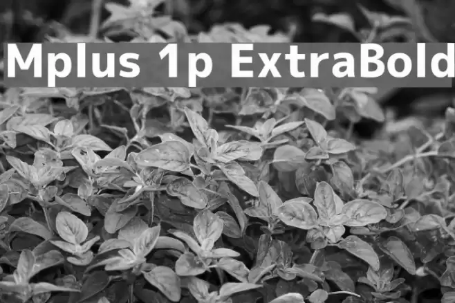 Mplus 1p ExtraBold Font examples
