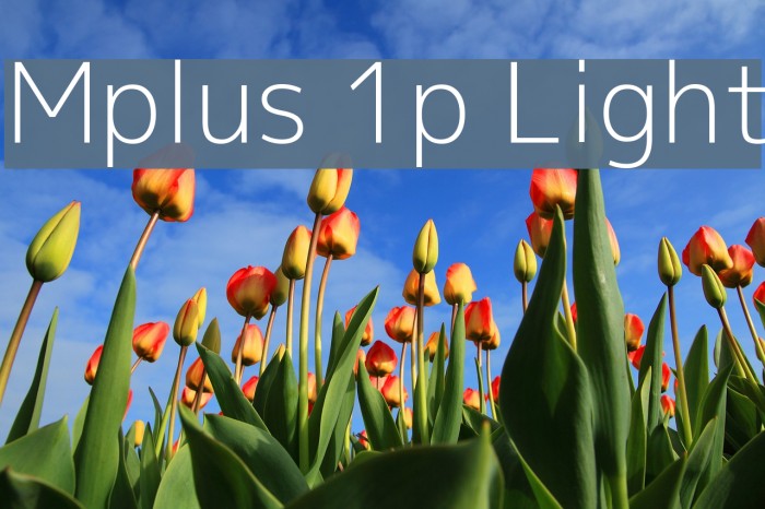 Mplus 1p Light Font examples