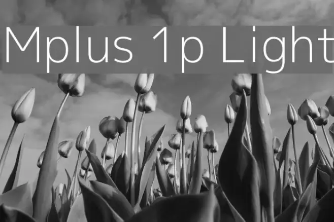 Mplus 1p Light Example 1