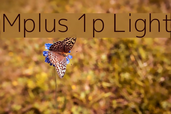 Mplus 1p Light Font examples