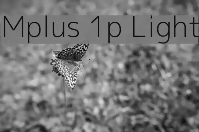 Mplus 1p Light Example 2