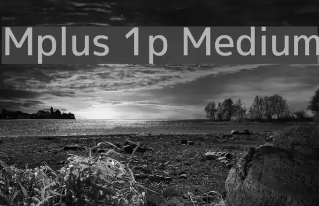 Mplus 1p Medium Font examples