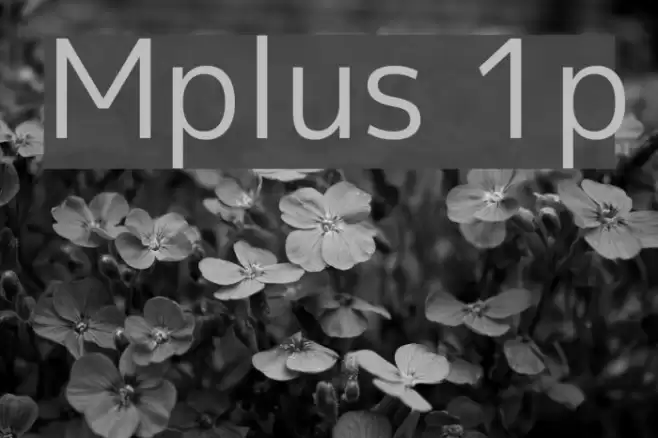 Mplus 1p Font examples