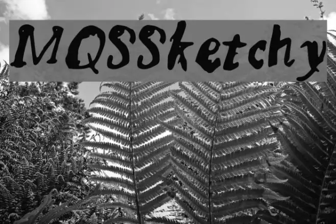 MQSSketchy Example 1