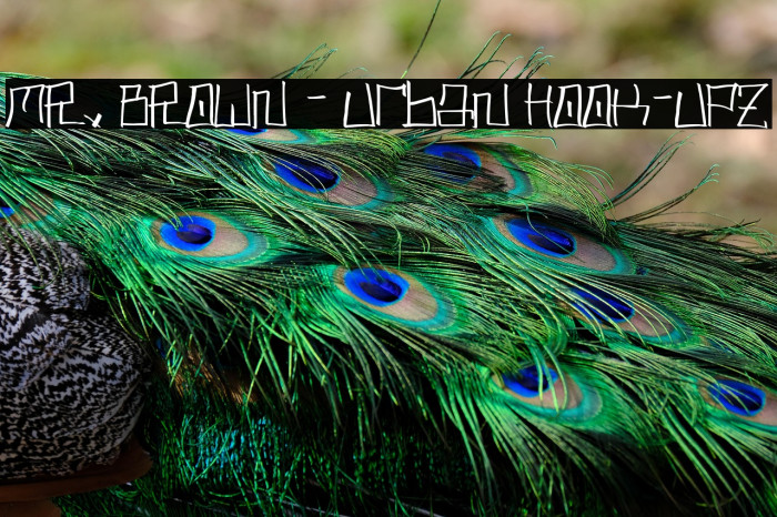 MR. BROWN - Urban Hook-Upz Example 1