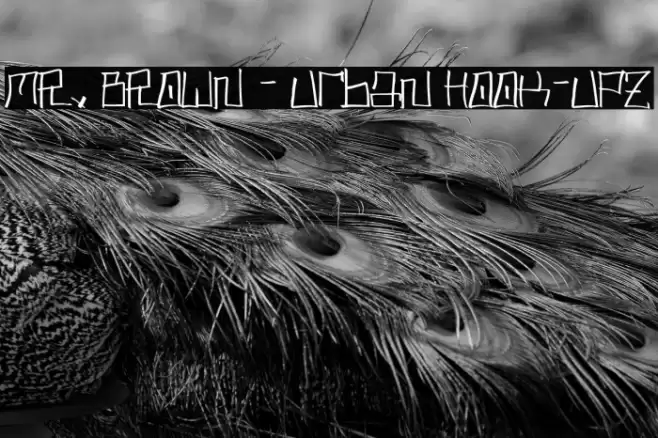 MR. BROWN - Urban Hook-Upz Font examples