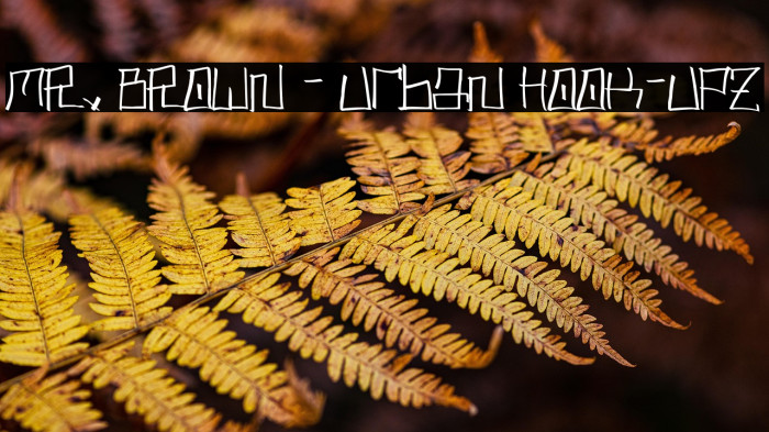 MR. BROWN - Urban Hook-Upz Example 2