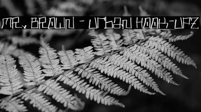 MR. BROWN - Urban Hook-Upz Font examples