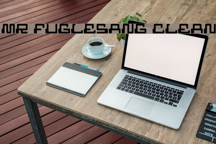 MR FUGLESANG CLEAN Font examples