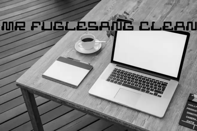 MR FUGLESANG CLEAN Example 1