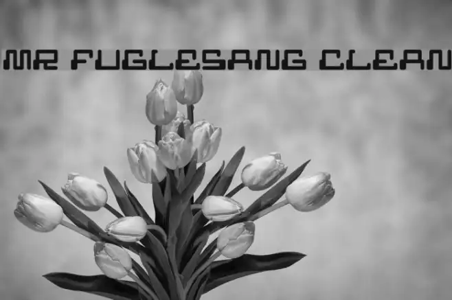 MR FUGLESANG CLEAN Example 3