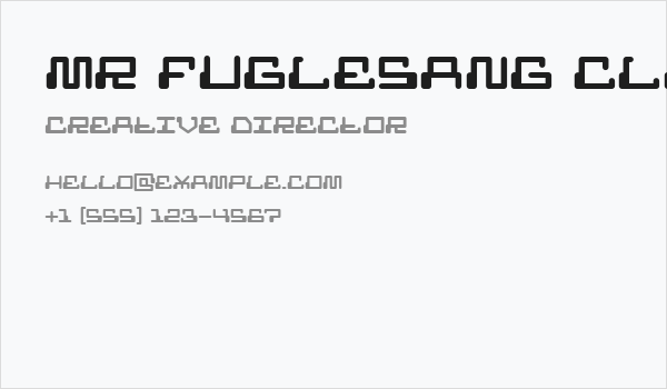 MR FUGLESANG CLEAN Business Card