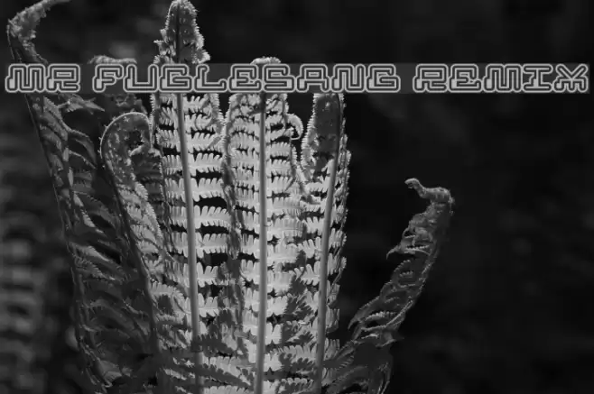 MR FUGLESANG REMIX Caratteri examples