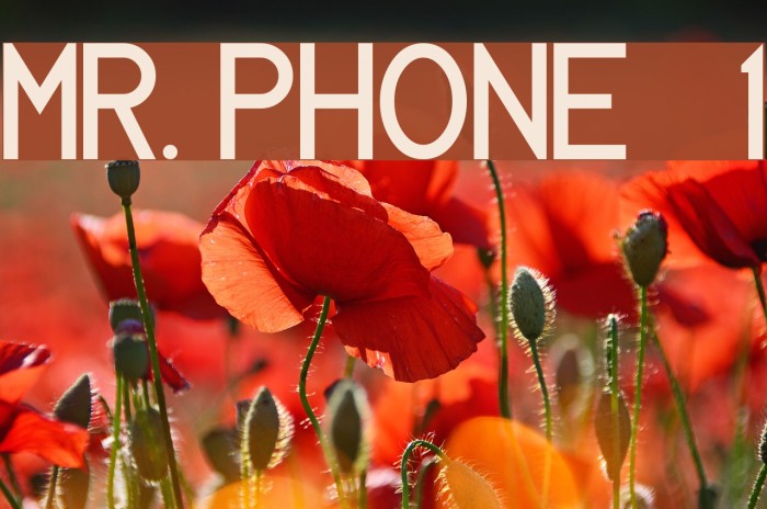 MR. PHONE 1 Font examples