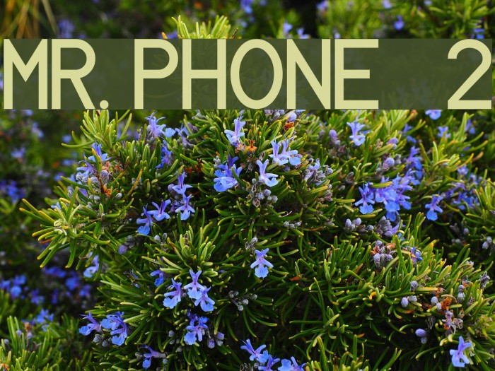 MR. PHONE   2 Example 3