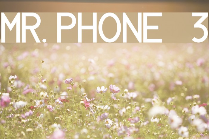 MR. PHONE   3 Example 1