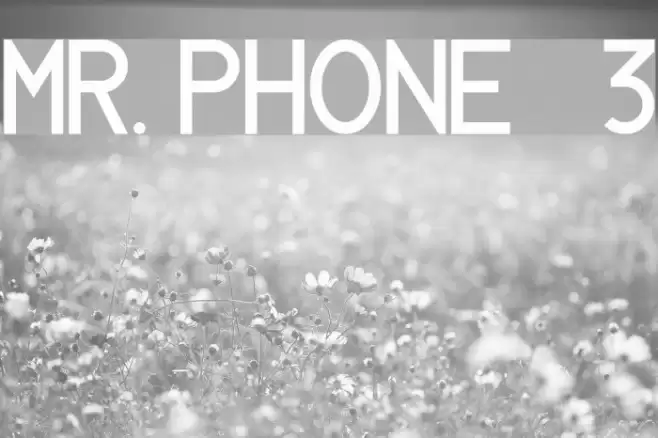 MR. PHONE   3 Font examples