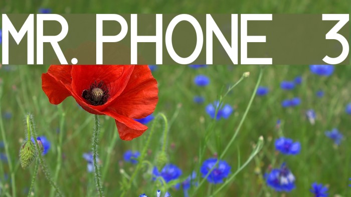 MR. PHONE   3 Example 3