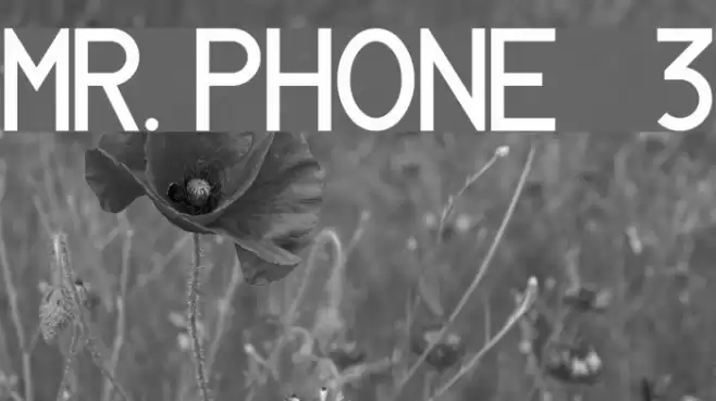 MR. PHONE   3 Font examples