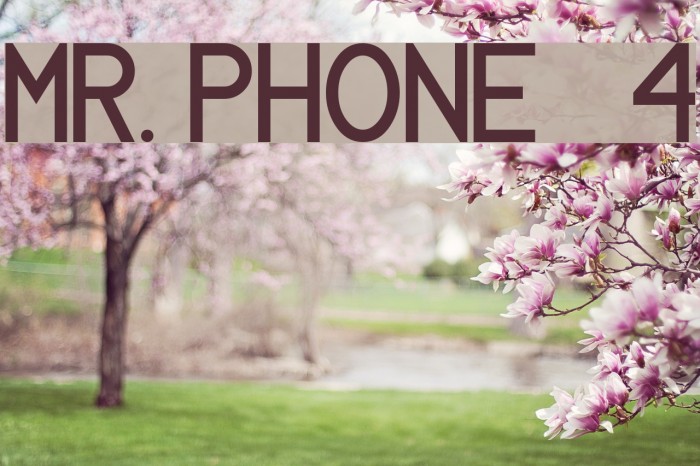 MR. PHONE 4 Font examples