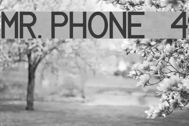MR. PHONE   4 Example 1