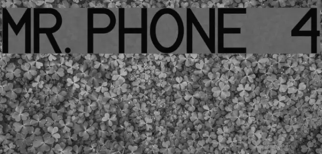 MR. PHONE   4 Example 3