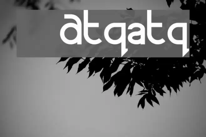 MR. PHONE   Alternates Polices examples