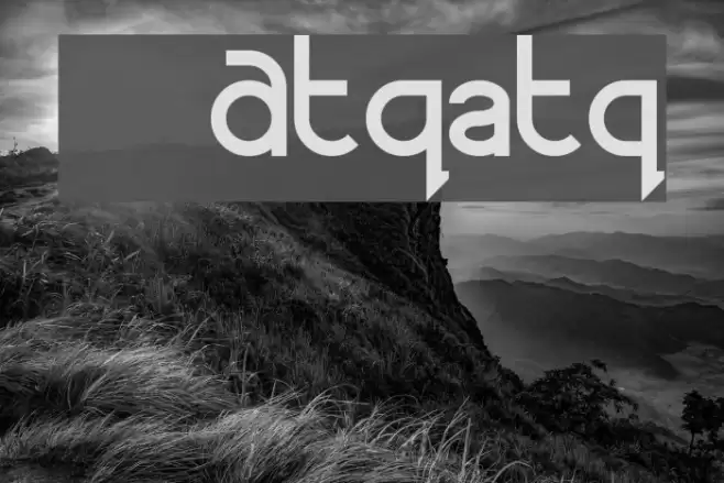 MR. PHONE   Alternates Polices examples