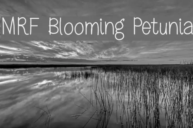 MRF Blooming Petunia Font examples
