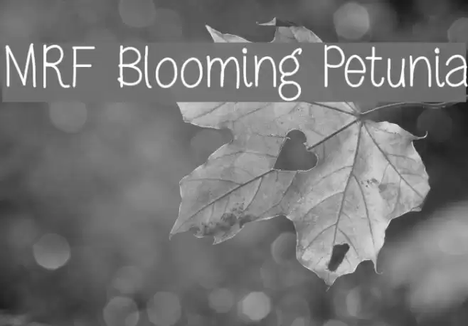 MRF Blooming Petunia Font examples