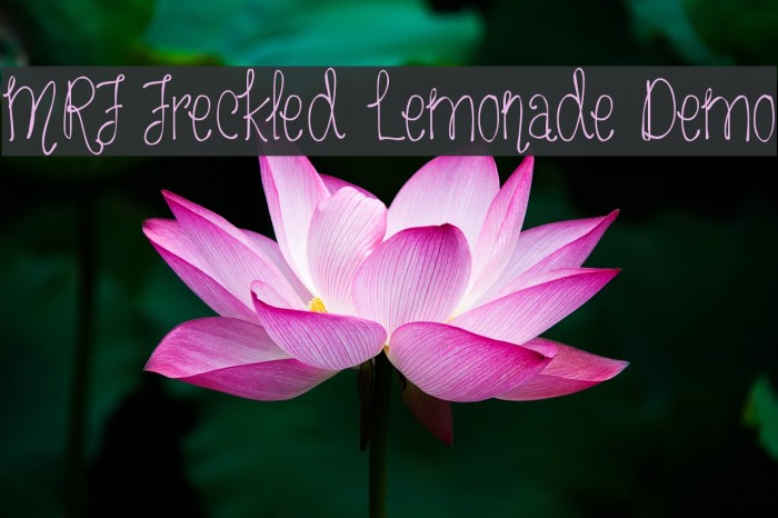 MRF Freckled Lemonade Demo Font examples
