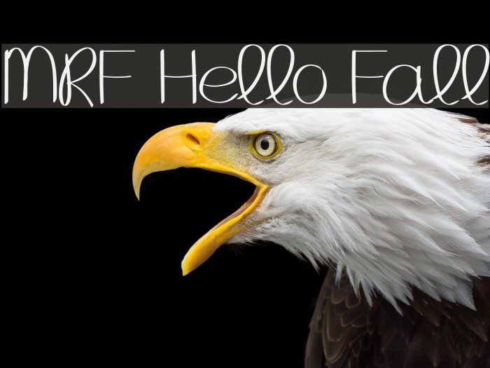 MRF Hello Fall Font examples