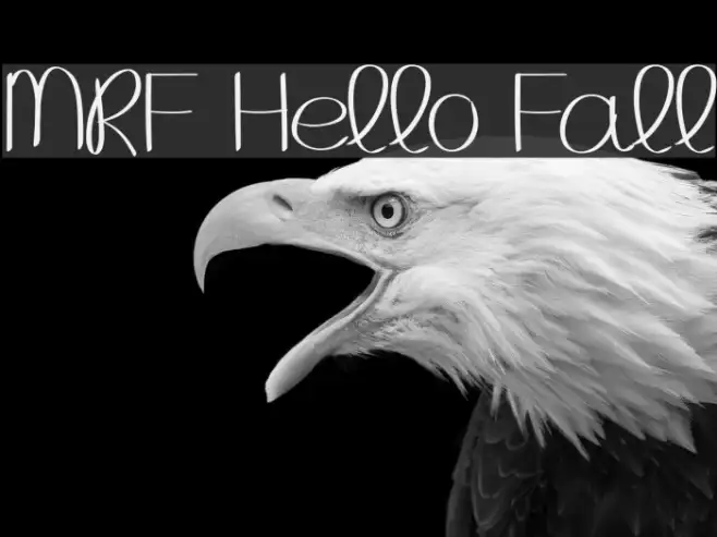 MRF Hello Fall Example 1
