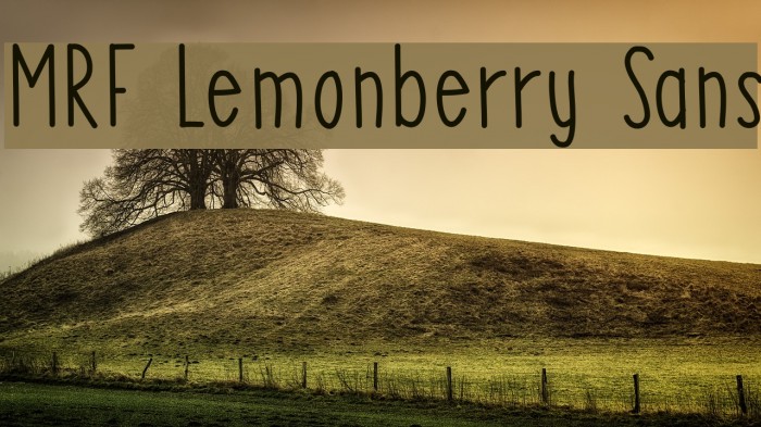 MRF Lemonberry Sans Font examples