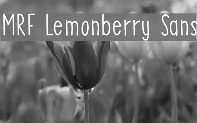MRF Lemonberry Sans Font examples