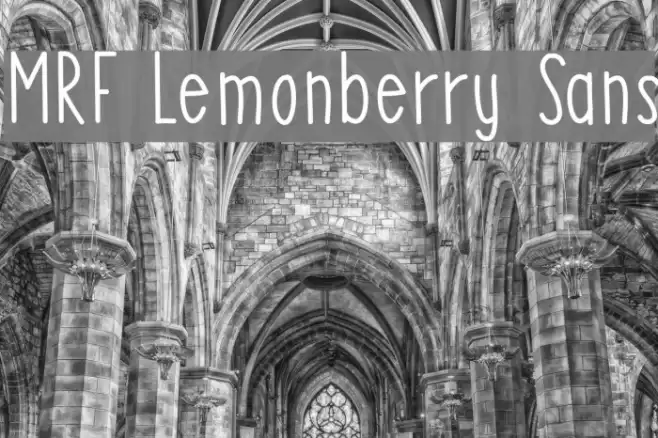 MRF Lemonberry Sans Font examples