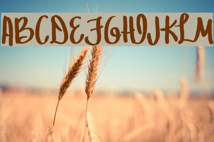 MRF Let Freedom Ring Font examples