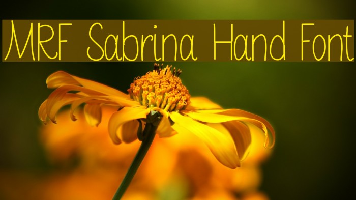 MRF Sabrina Hand Font Font examples