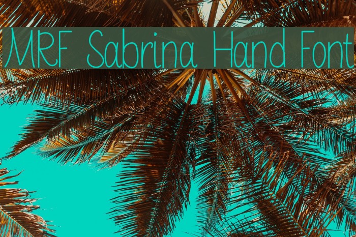 MRF Sabrina Hand Font Font examples