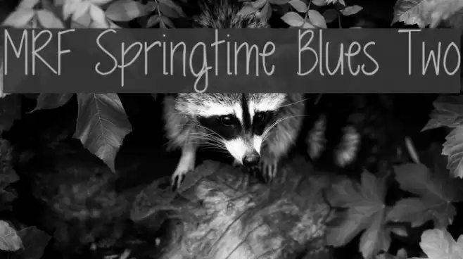 MRF Springtime Blues Two Font examples