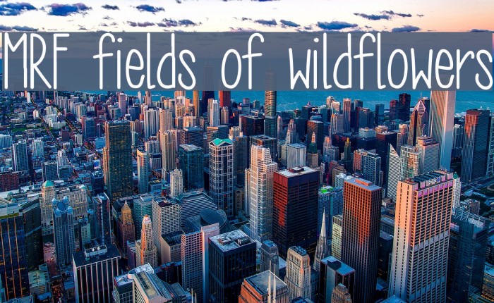 MRF fields of wildflowers Font examples